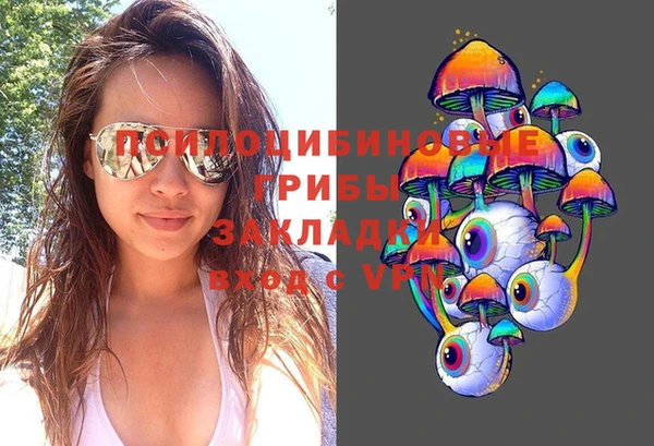 эйфоретик Балахна